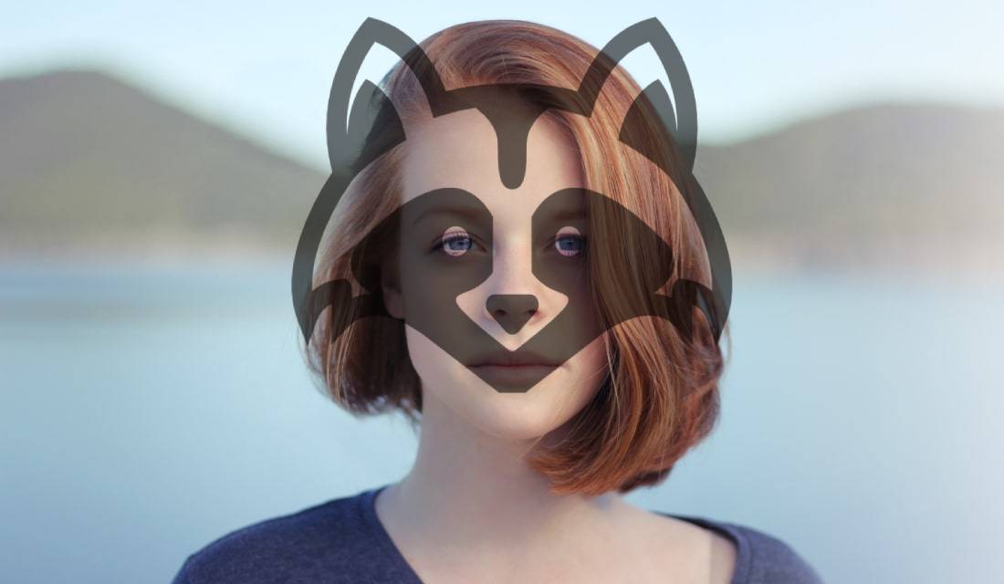 Фотография Неопознанного Енота